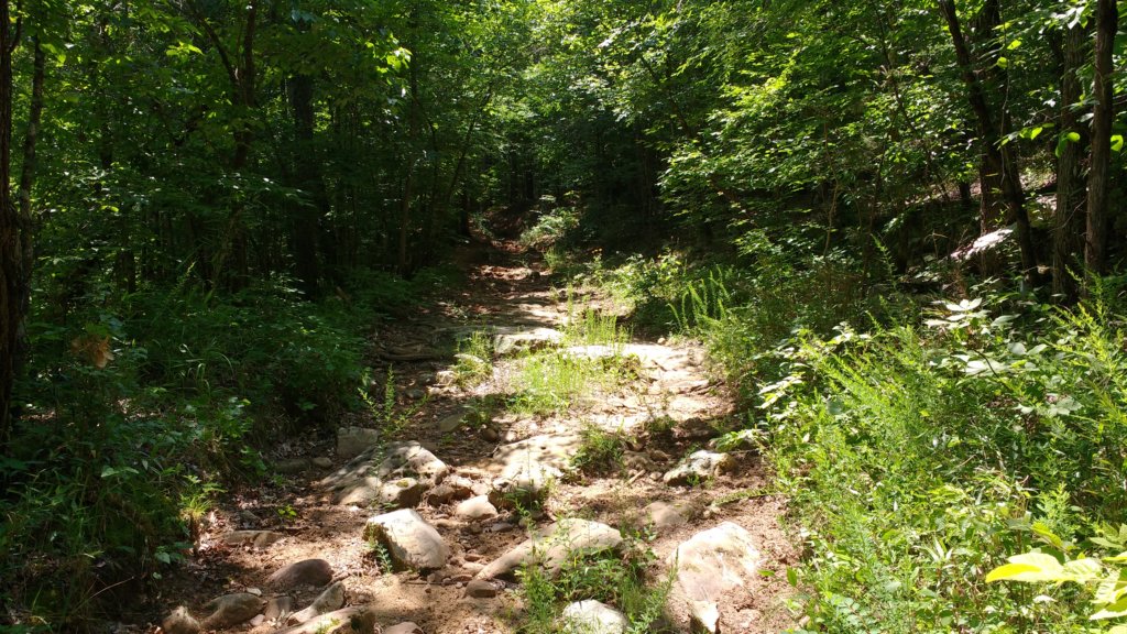 img_20180609_132511587.jpg