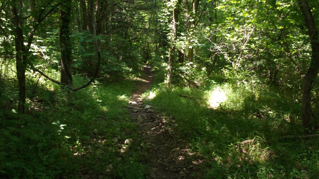 img_20180609_134208899.jpg