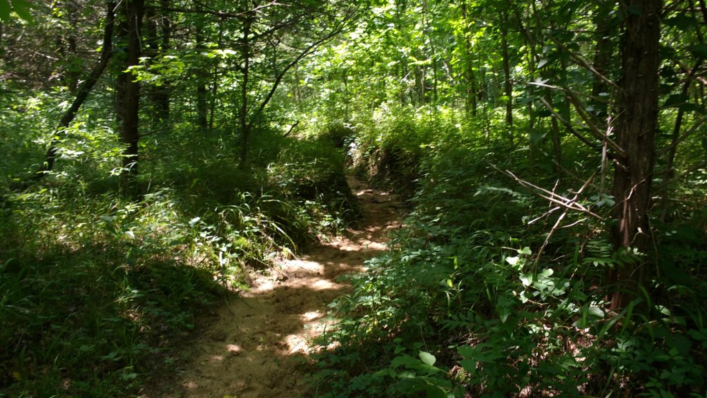 img_20180609_135648833.jpg