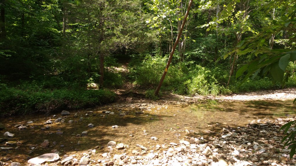 img_20180609_141829888.jpg