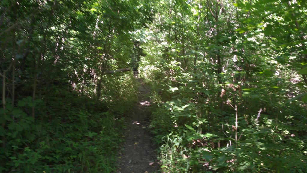 img_20180609_160452275.jpg