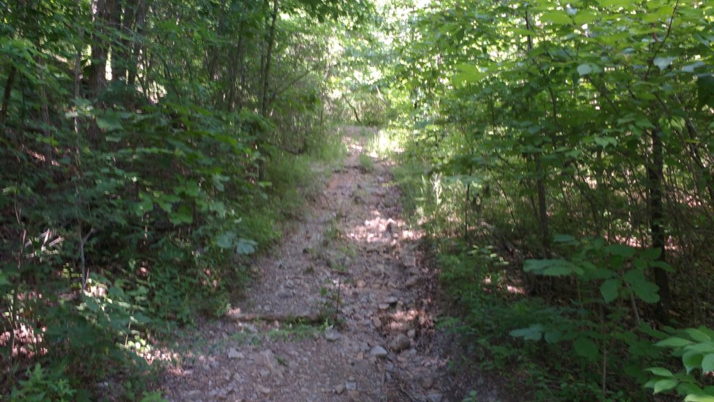 img_20180609_161000369.jpg