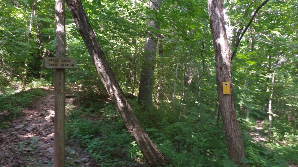 img_20180609_161508085.jpg