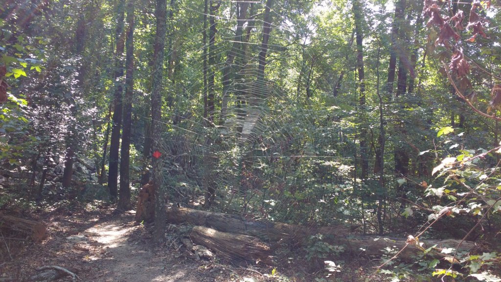 img_20170910_115705277.jpg