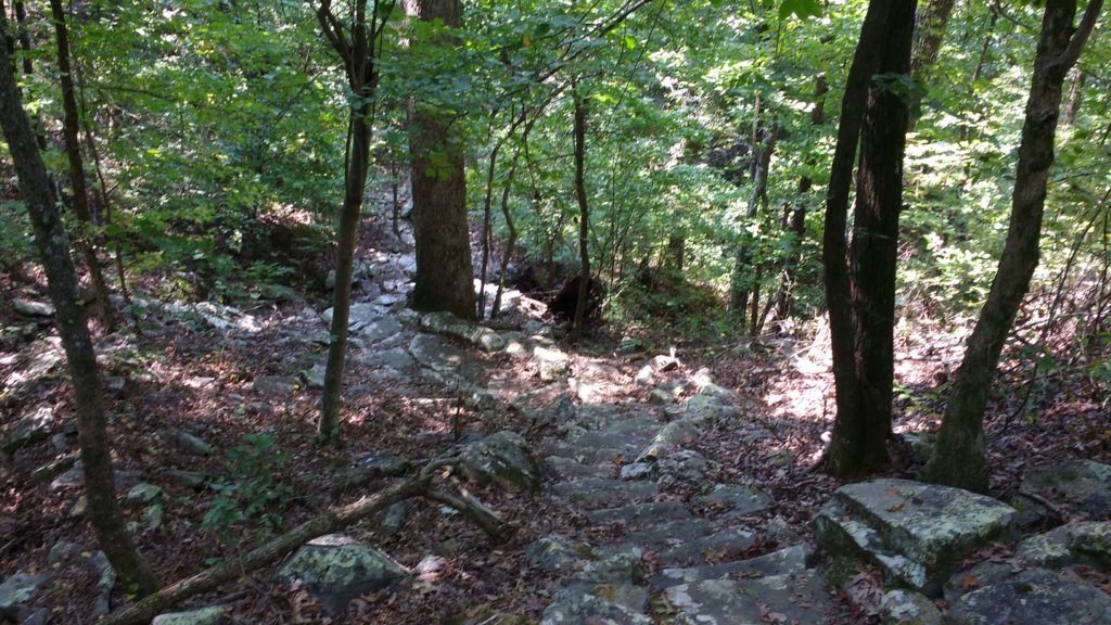 img_20170910_120229498.jpg