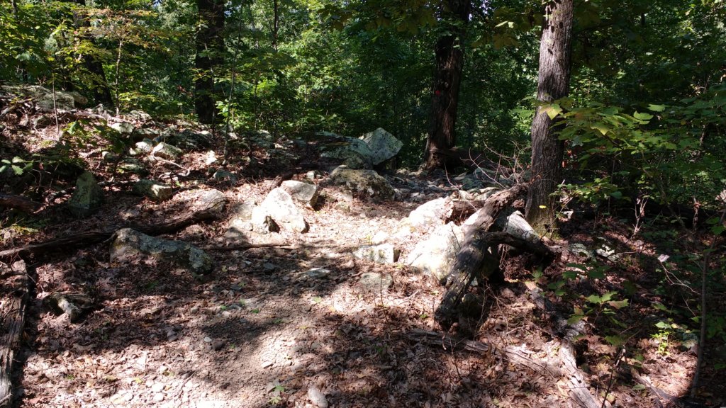 img_20170910_120425305.jpg