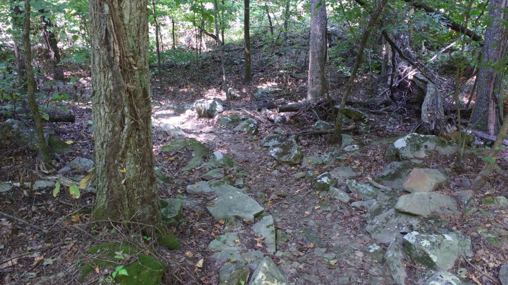 img_20170910_120820249.jpg