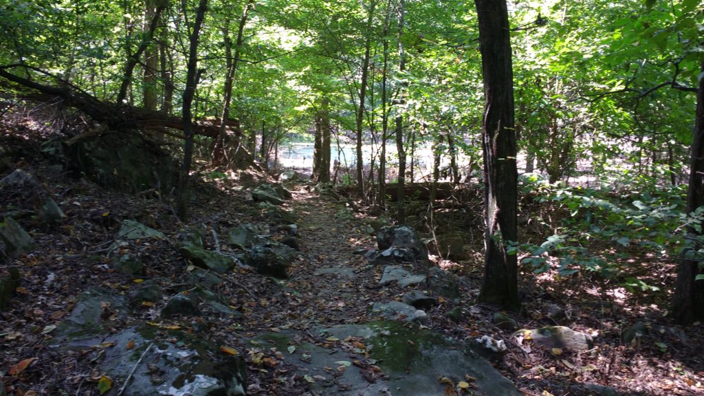 img_20170910_120838116.jpg