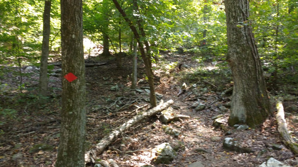 img_20170910_121922524.jpg