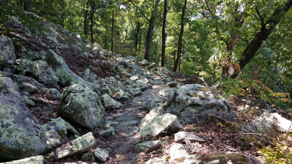 img_20170910_122741077.jpg