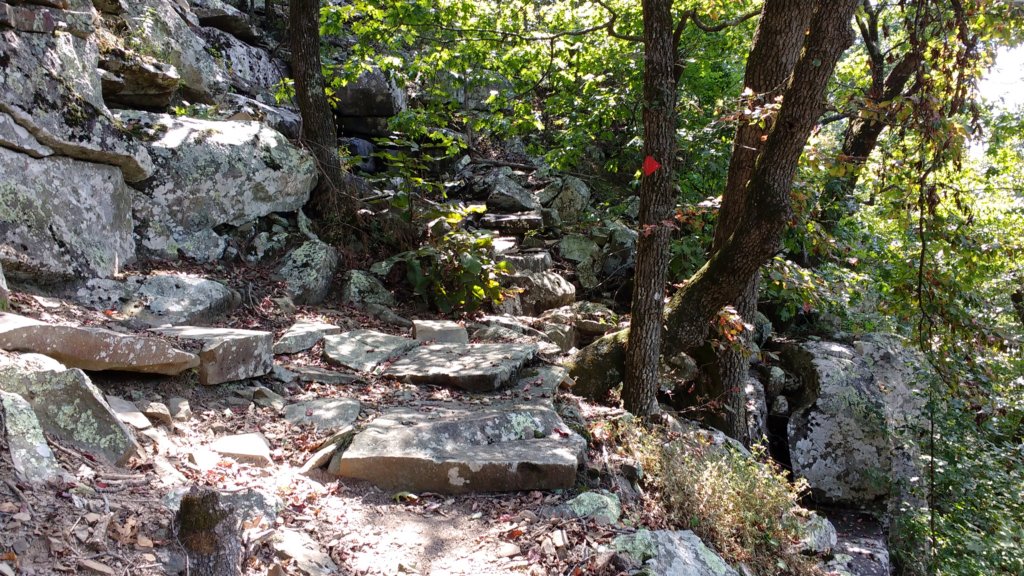 img_20170910_123132125.jpg