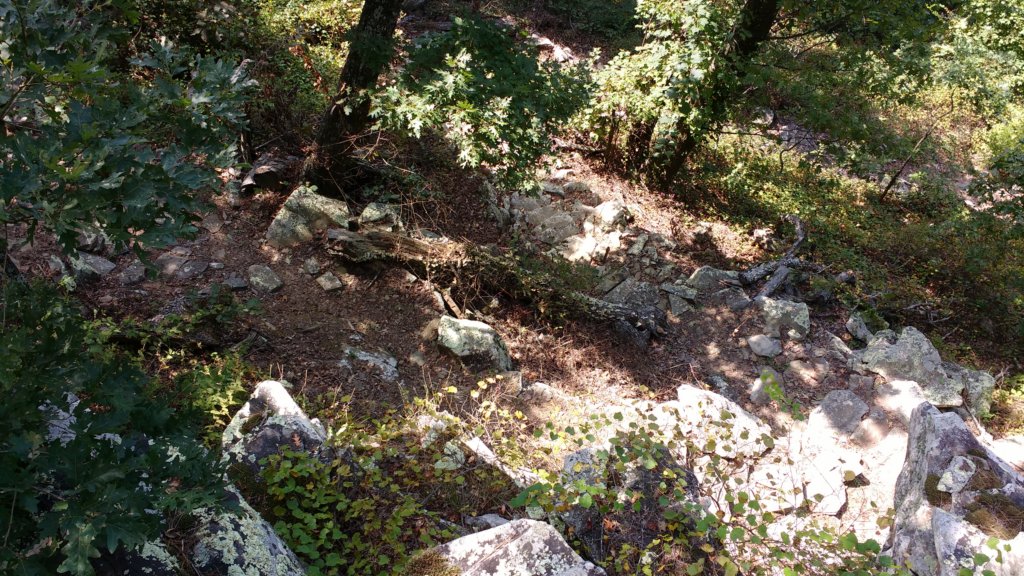 img_20170910_123443570.jpg