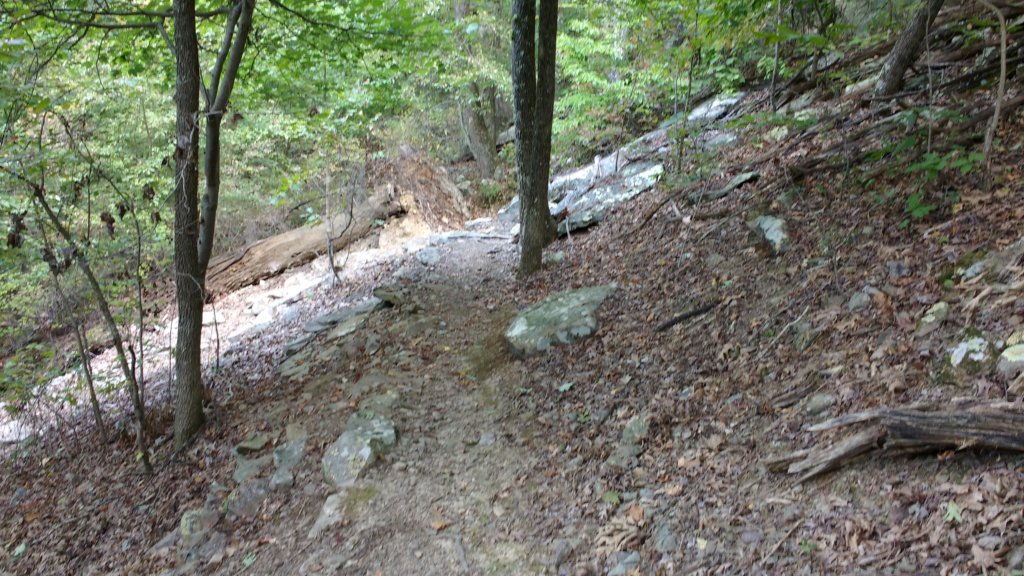 img_20170910_131011718.jpg