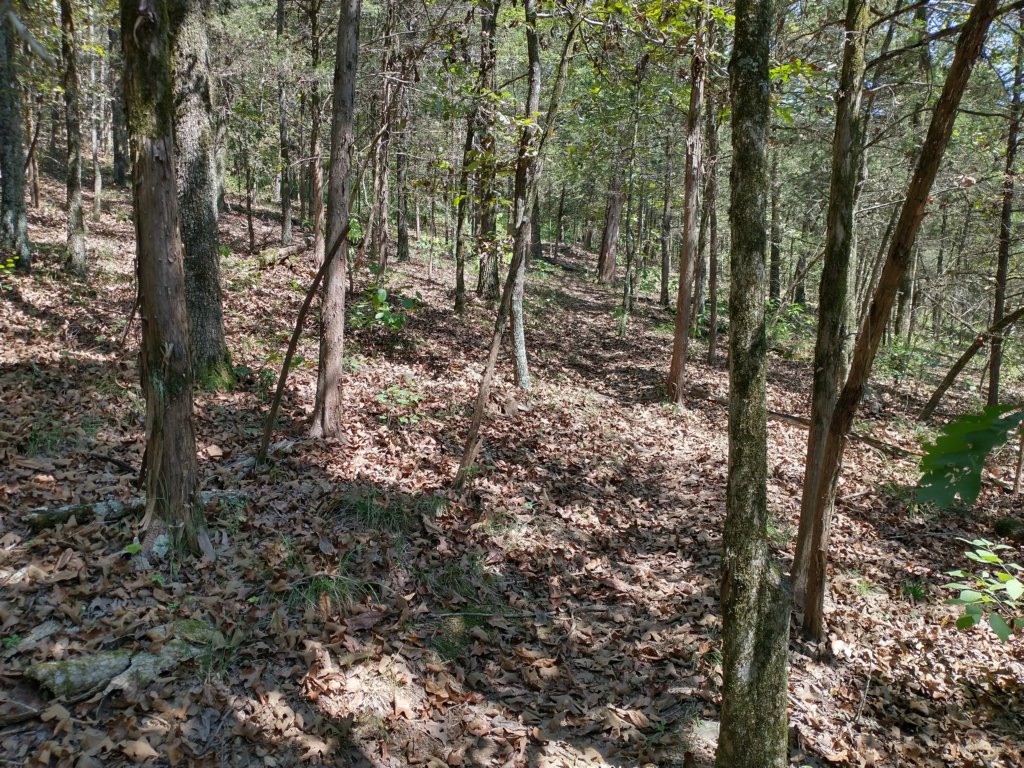 img_20200907_124408124_hdr.jpg