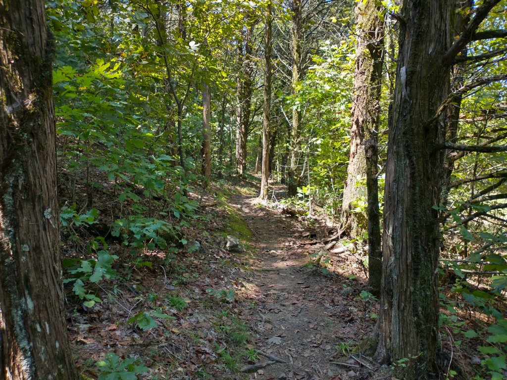 img_20200907_125639617_hdr.jpg