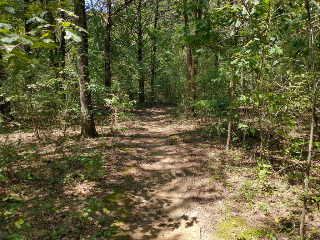 img_20200907_130326639_hdr.jpg