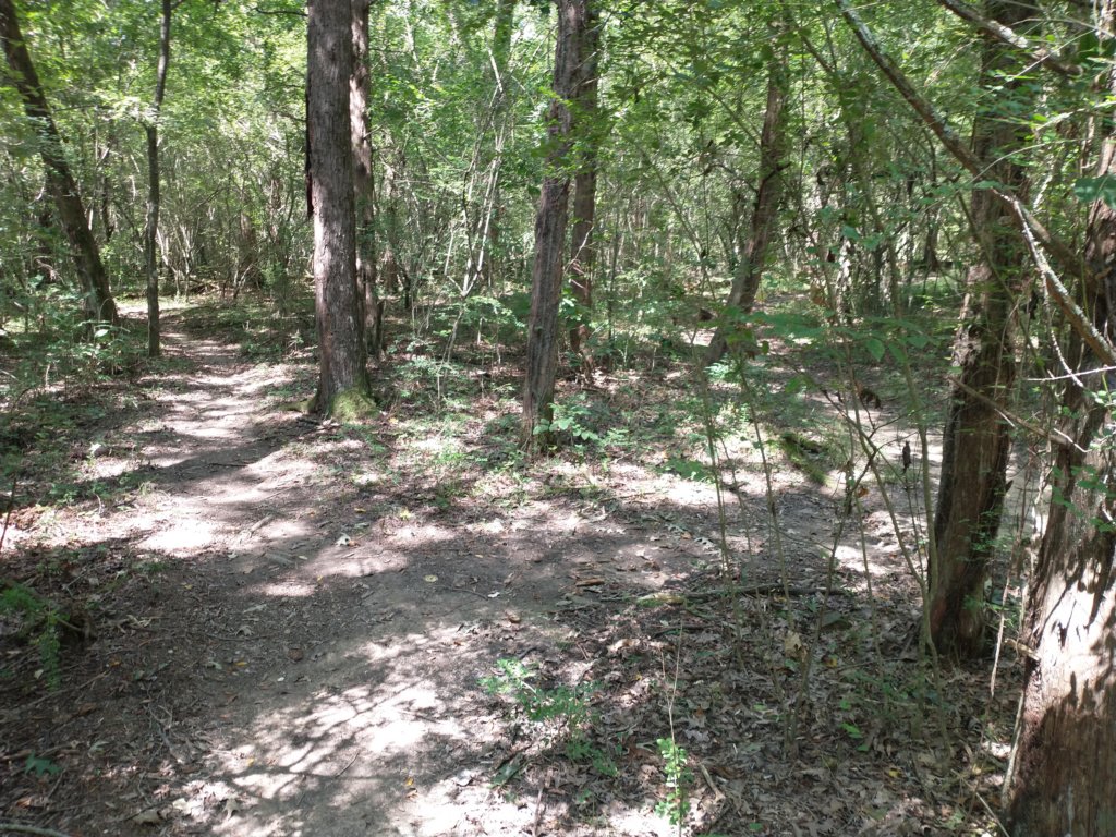 img_20200907_130441731.jpg