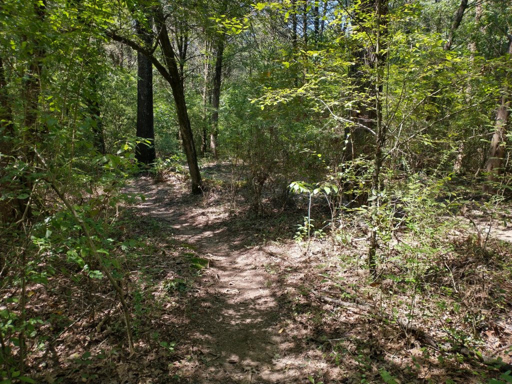 img_20200907_130628239_hdr.jpg