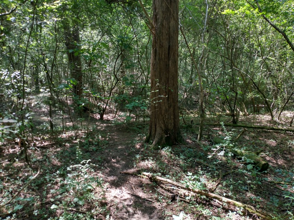 img_20200907_130810644_hdr.jpg