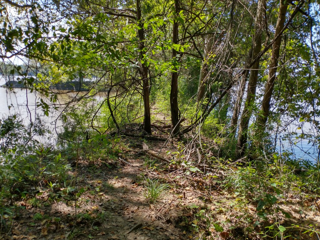 img_20200907_131702761_hdr.jpg