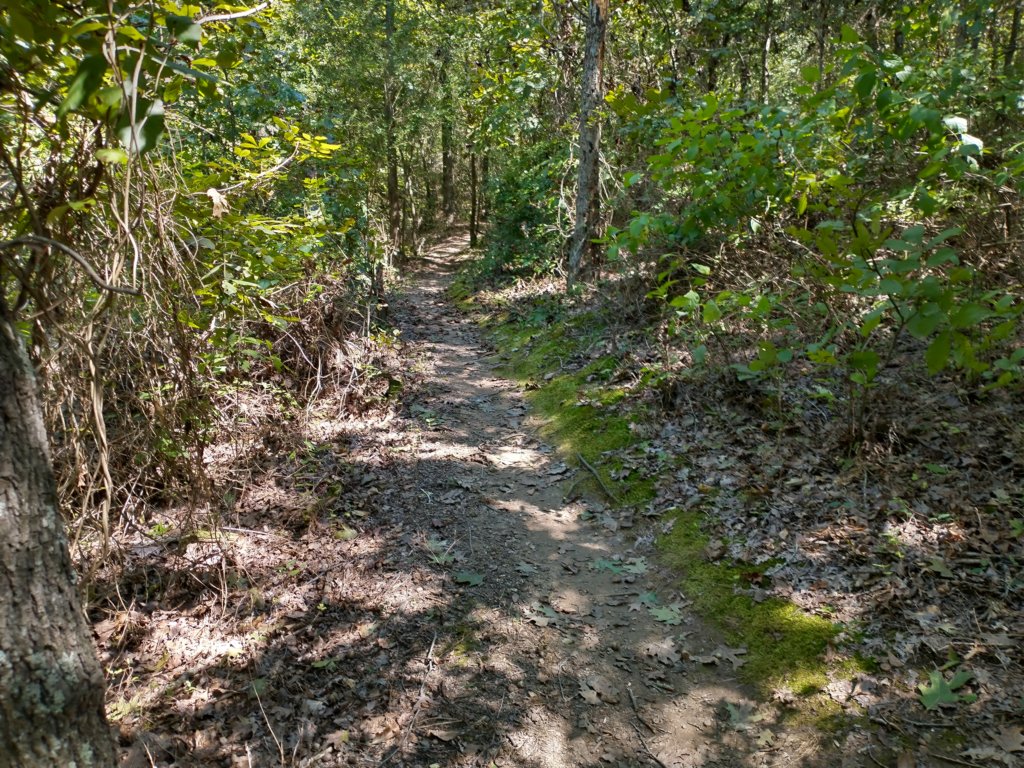 img_20200907_134844954_hdr.jpg