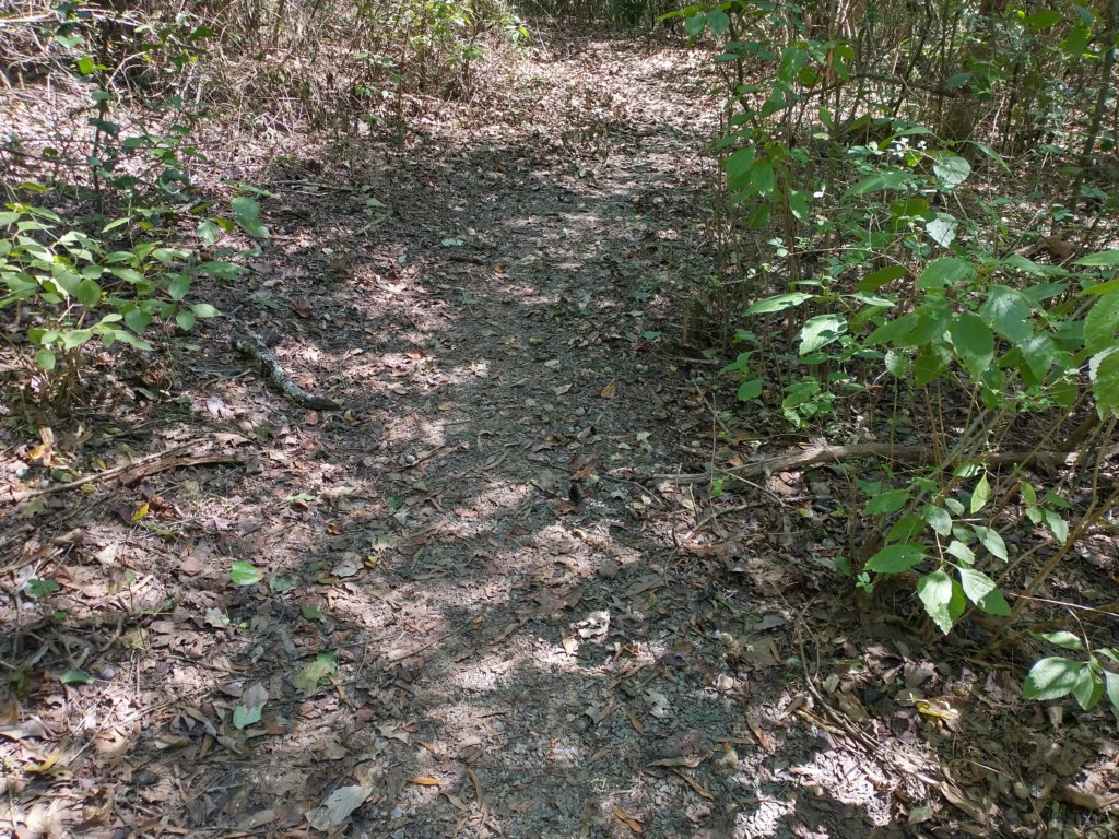 img_20200907_135309885_hdr.jpg