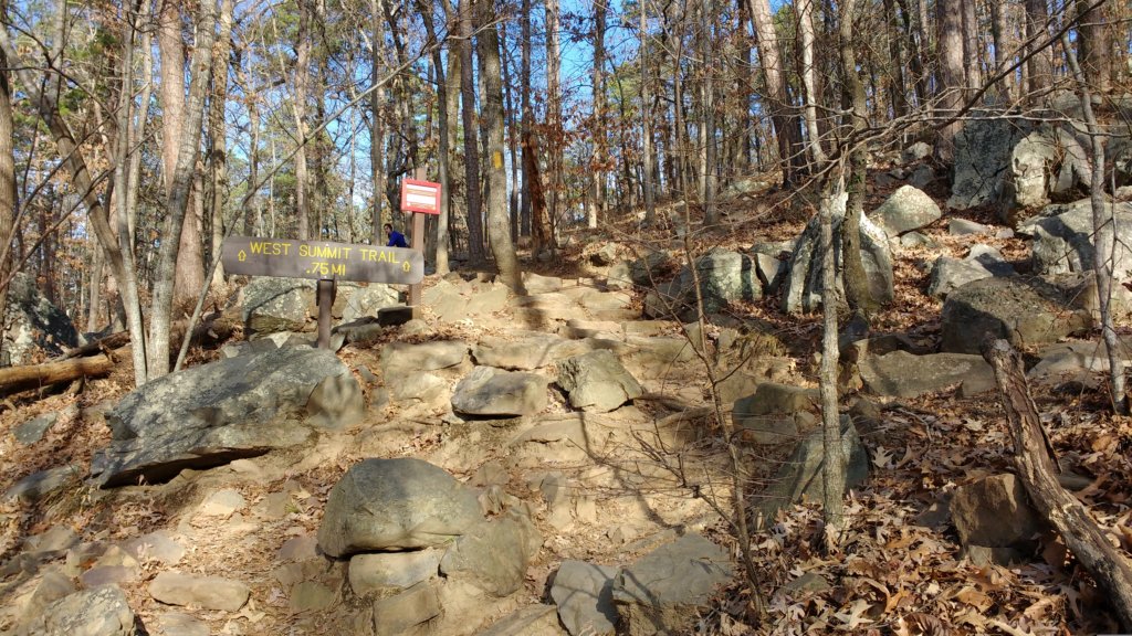 img_20171216_094246158.jpg