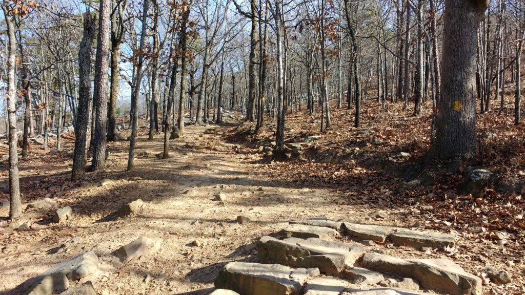 img_20171216_105417535.jpg