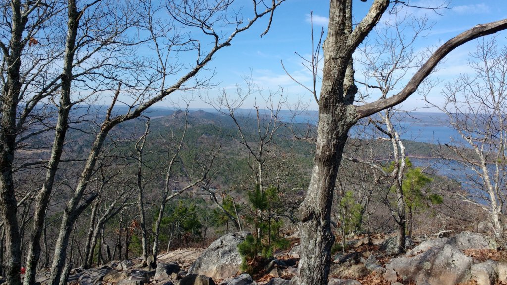 img_20171216_111415652.jpg