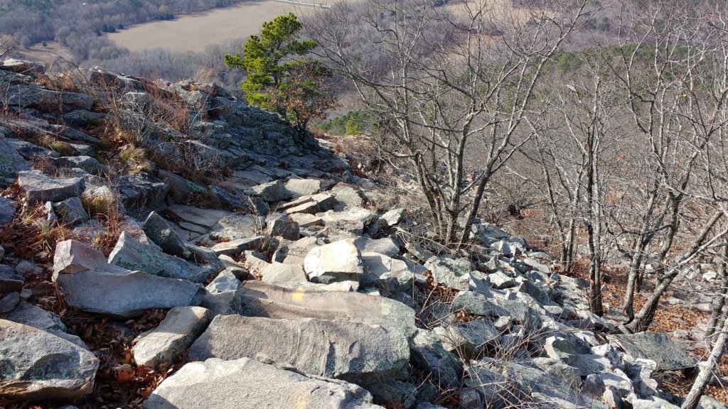img_20171216_112756218.jpg