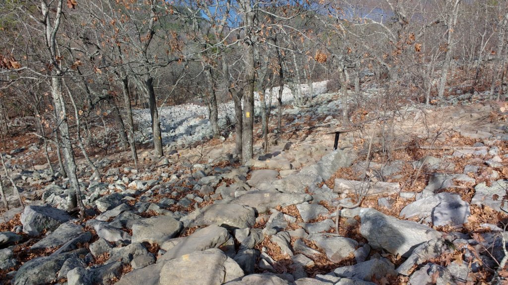 img_20171216_114104954.jpg