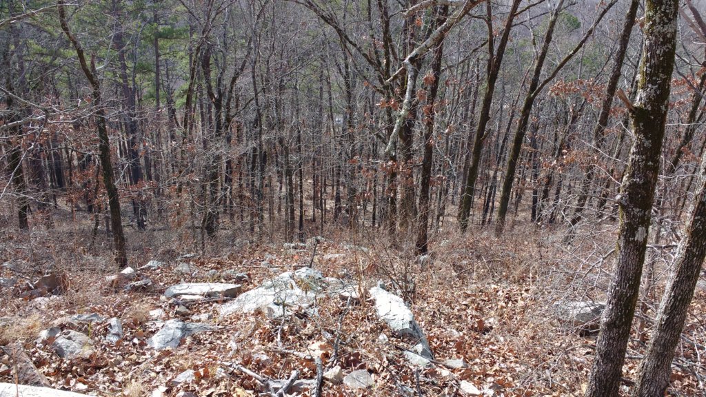 img_20171216_115005695.jpg