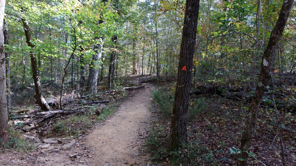 img_20171019_121635864.jpg