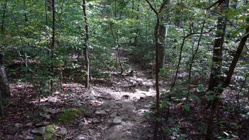 img_20171019_122305443.jpg