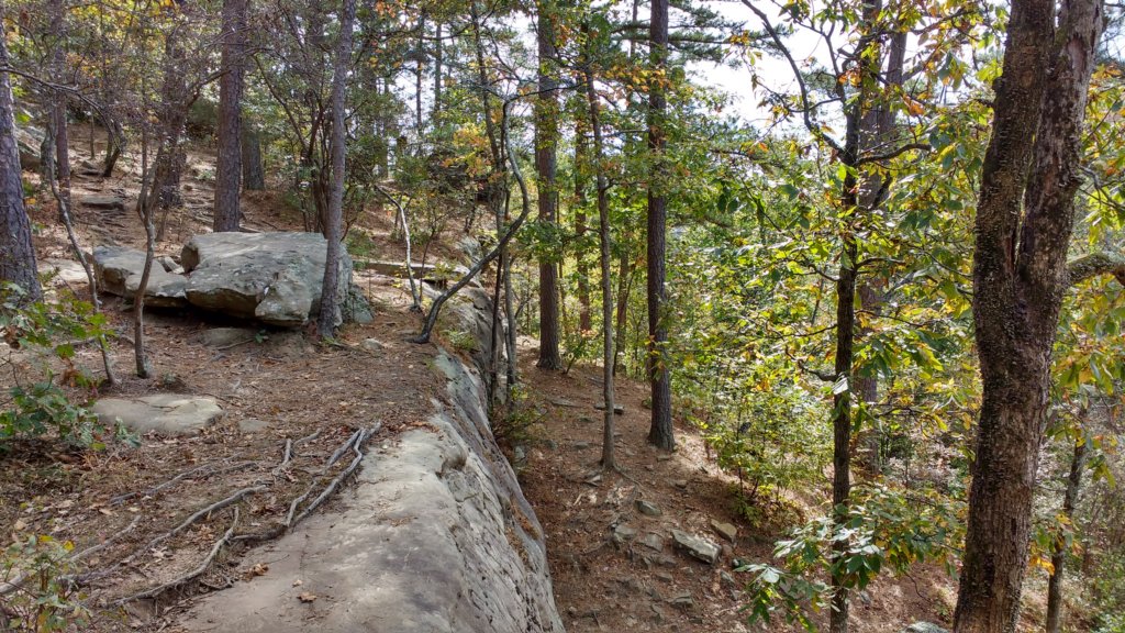 img_20171019_124043240_hdr.jpg