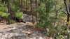 img_20171019_124949303_small.jpg