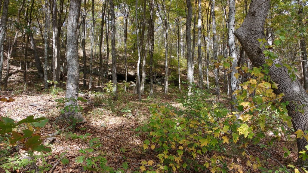 img_20171019_134352940.jpg