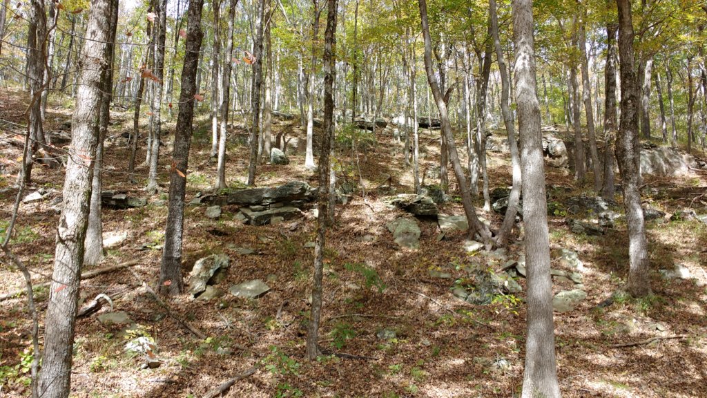 img_20171019_134842501.jpg