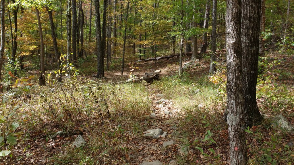 img_20171019_140836509.jpg