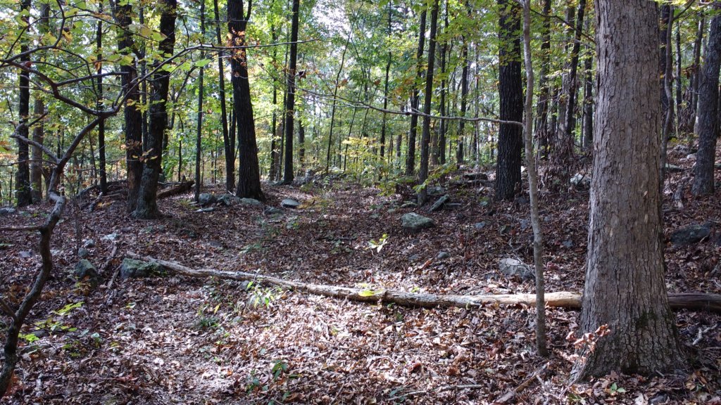 img_20171019_141020779.jpg