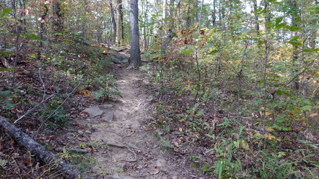 img_20171019_143744618.jpg