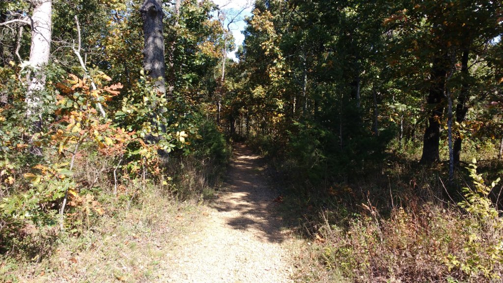 img_20171014_112952058.jpg