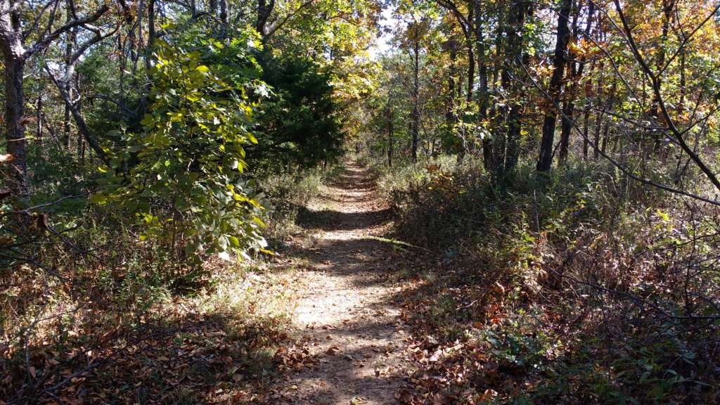 img_20171014_114148524.jpg
