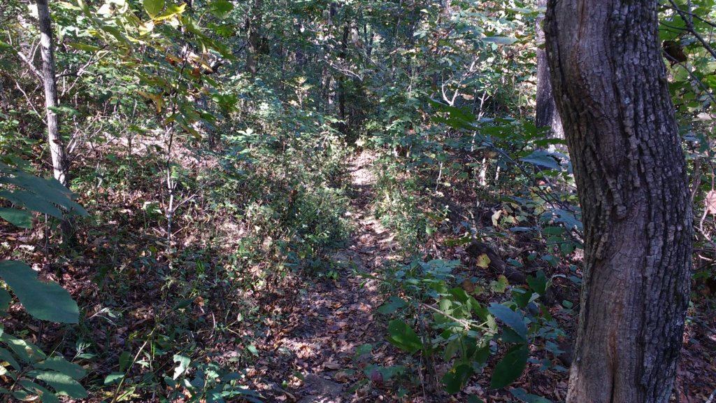 img_20171014_120139801.jpg