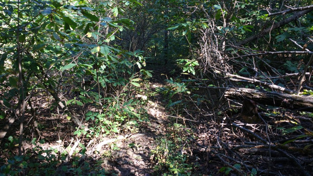 img_20171014_120610267.jpg
