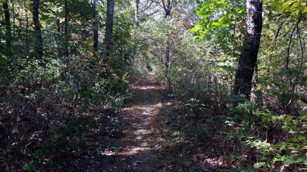 img_20171014_123132816.jpg