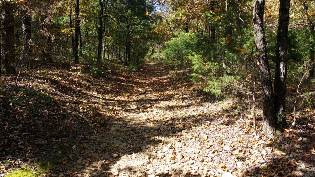 img_20171014_123457290.jpg