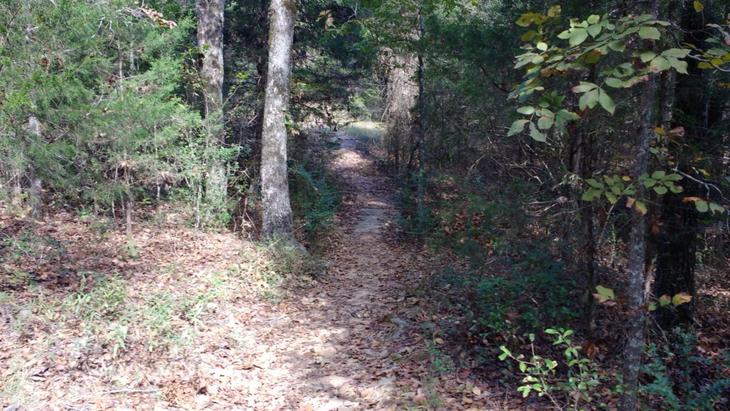 img_20171017_121430978.jpg