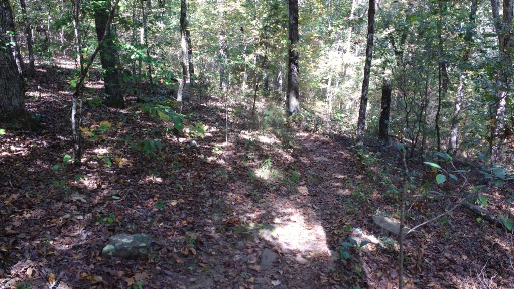 img_20171017_121953219.jpg