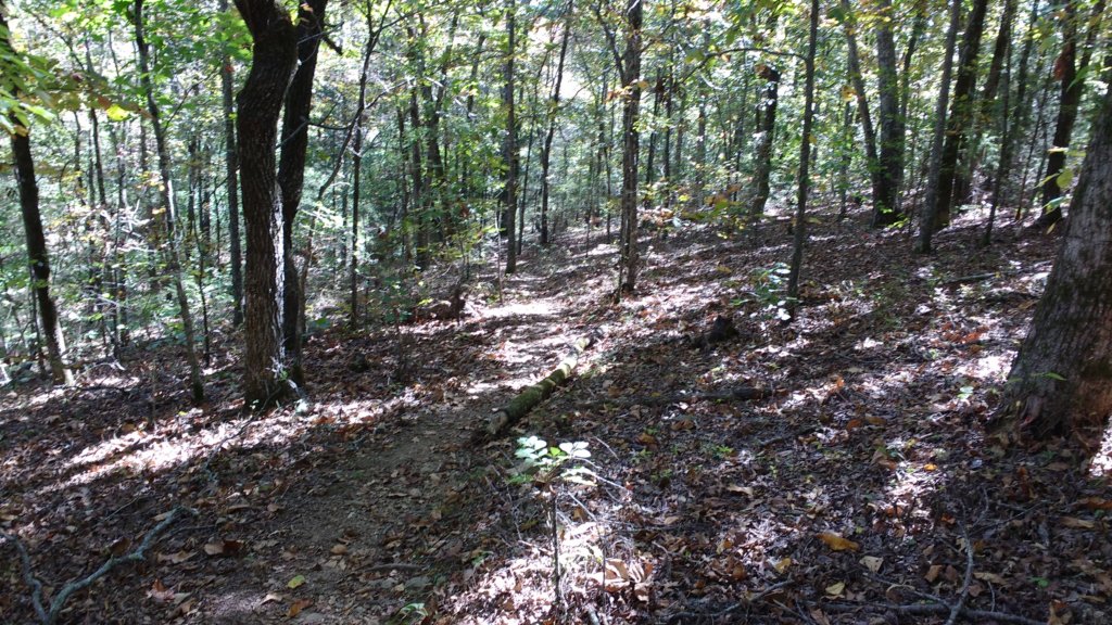 img_20171017_124927540.jpg
